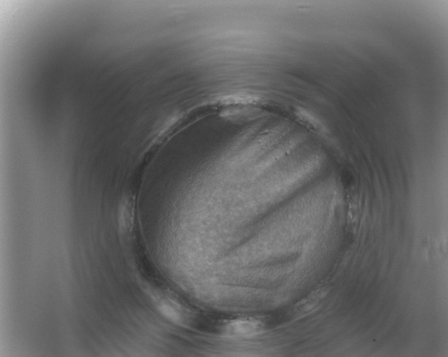 X0000066950168200604071947