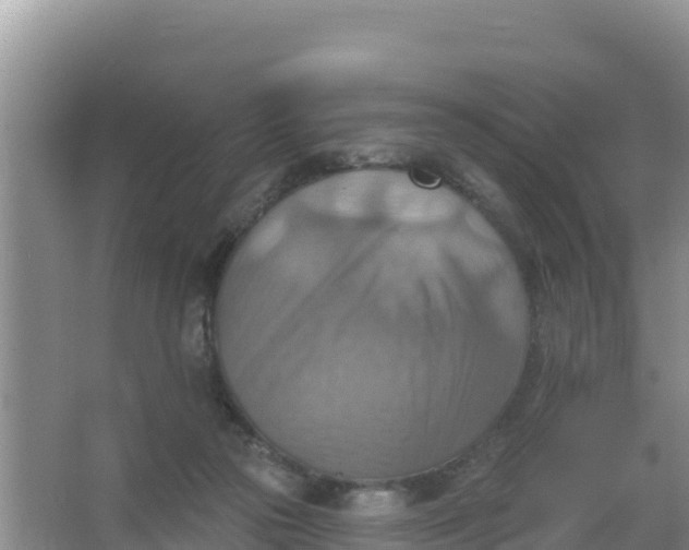 X0000066950169200604071947