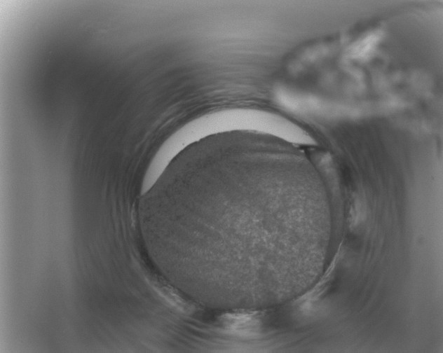 X0000066950170200604071948