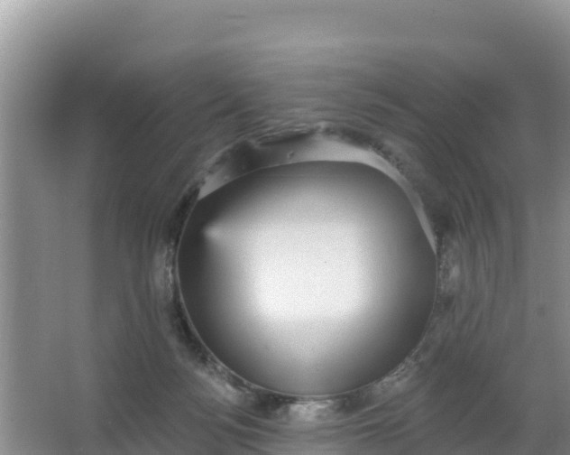 X0000066950172200604071948