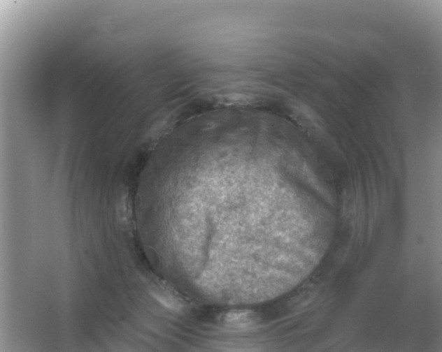 X0000066950173200604071948