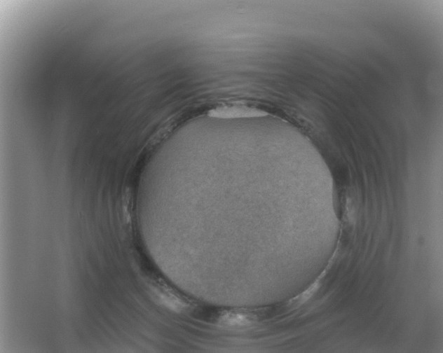 X0000066950174200604071948