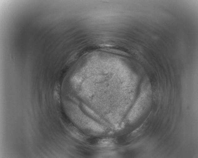 X0000066950175200604071948