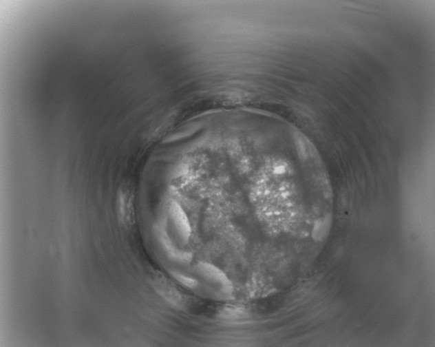 X0000066950177200604071948