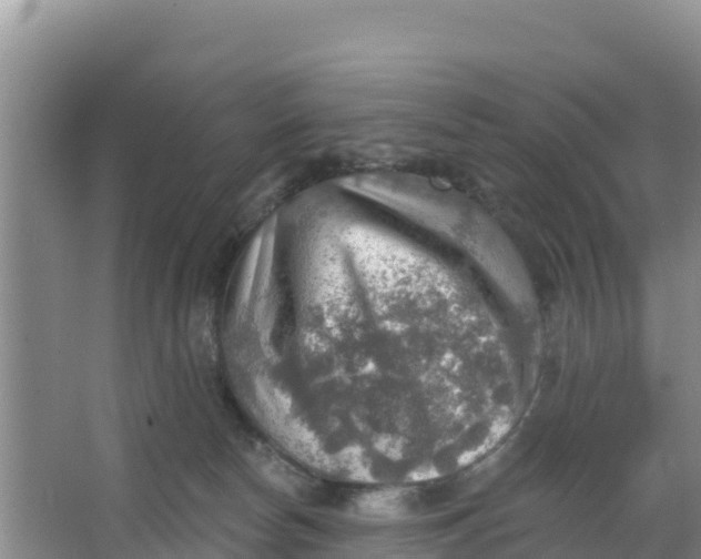 X0000066950178200604071948