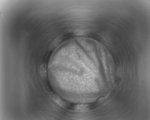 X0000066950179200604071948