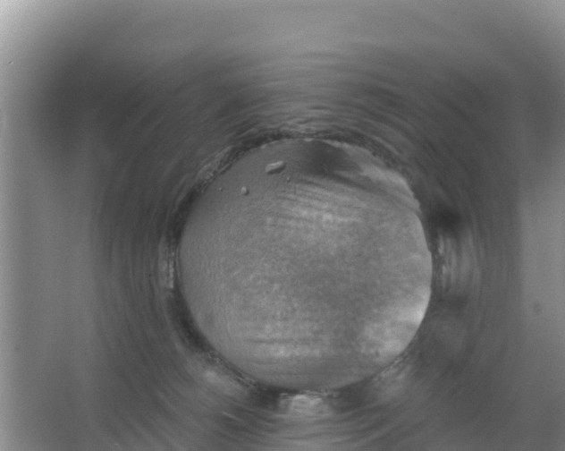 X0000066950180200604071948