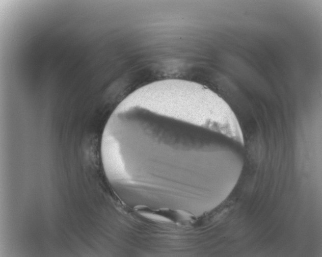 X0000066950181200604071948