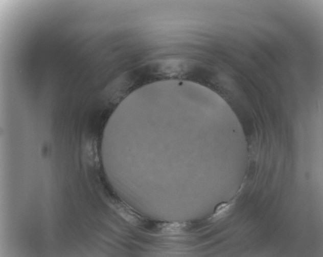 X0000066950182200604071948