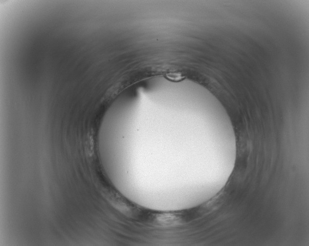 X0000066950183200604071948