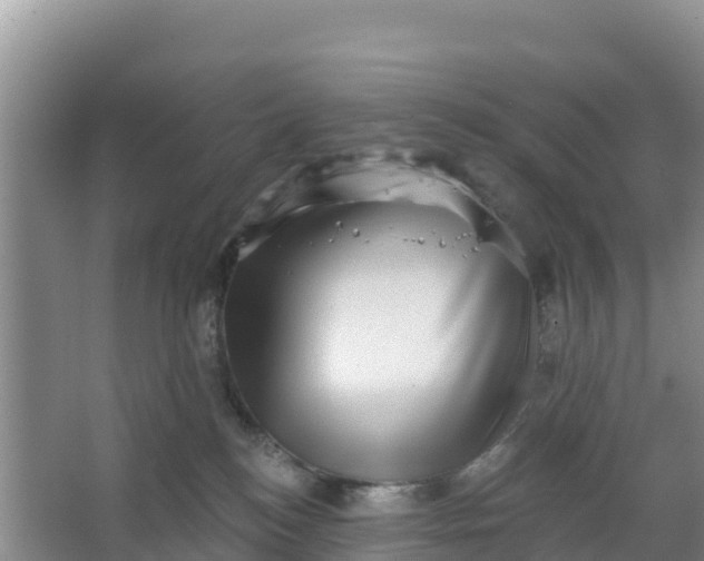 X0000066950184200604071948