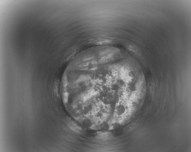 X0000066950185200604071948