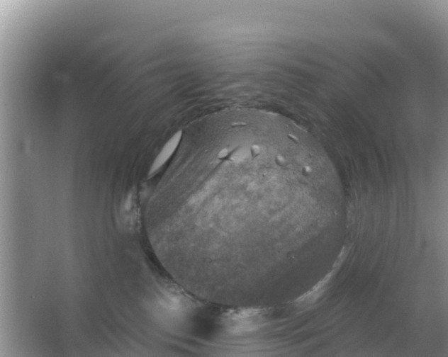 X0000066950186200604071948