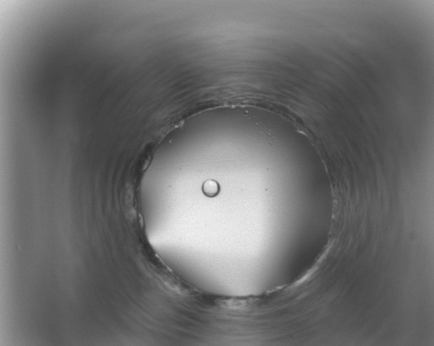 X0000066950187200604071948