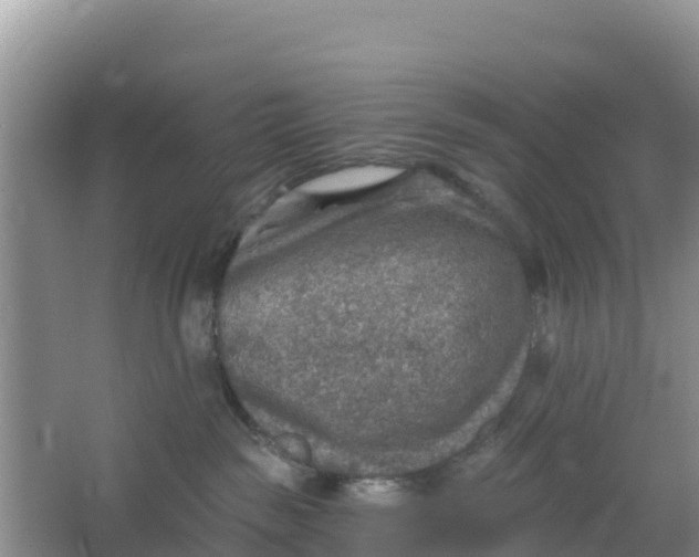 X0000066950189200604071948