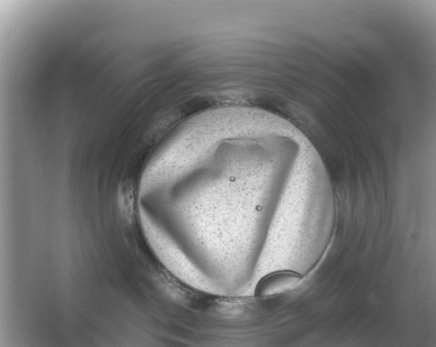 X0000066950190200604071948