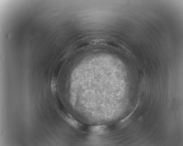 X0000066950191200604071948