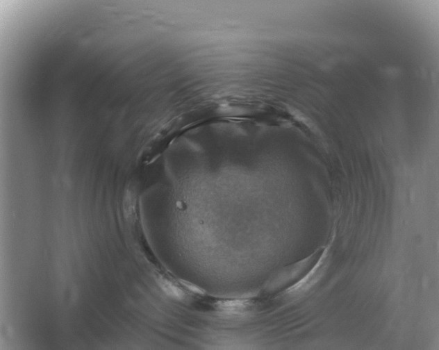 X0000066950192200604071948