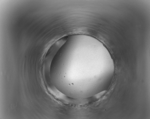 X0000066950193200604071947