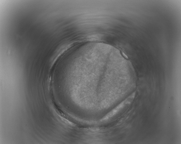 X0000066950194200604071947