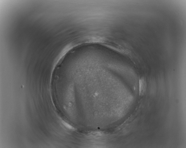 X0000066950195200604071947