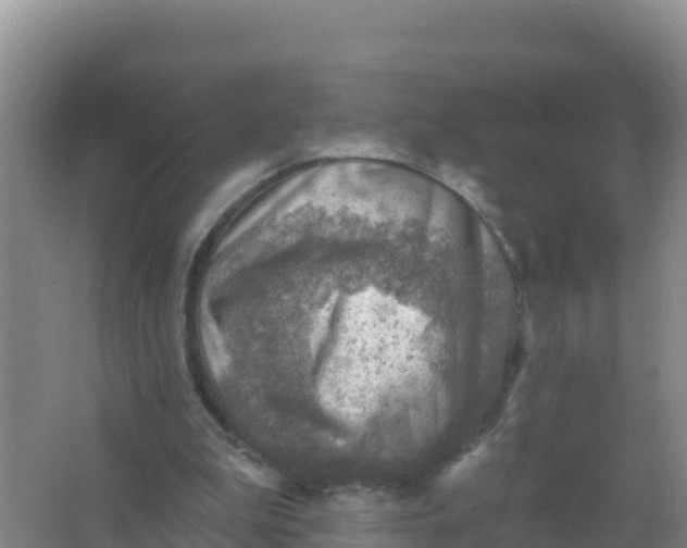 X0000066950199200604071947