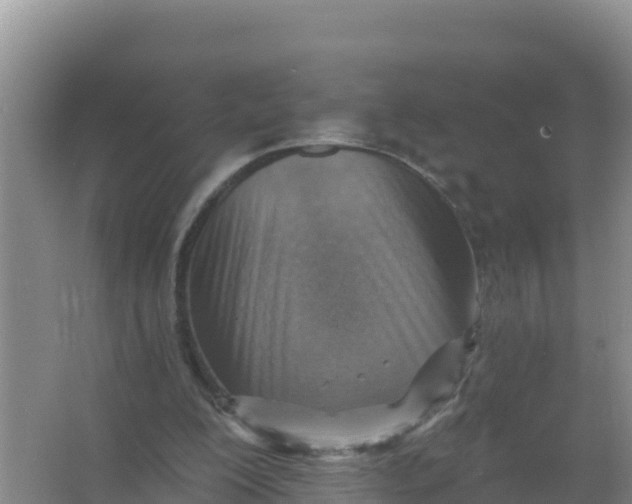 X0000066950200200604071947