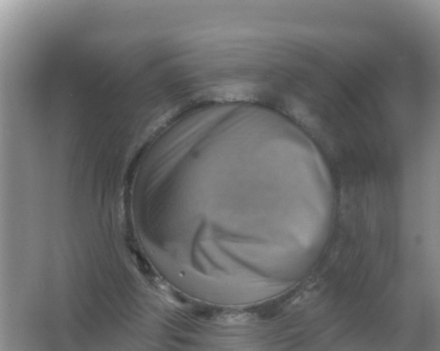 X0000066950202200604071947