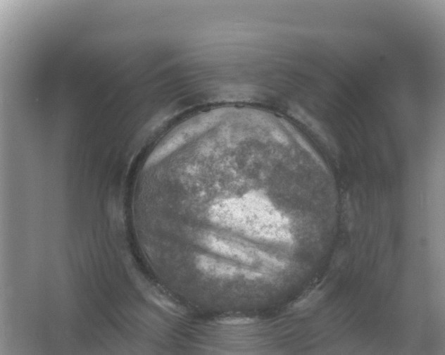 X0000066950203200604071947