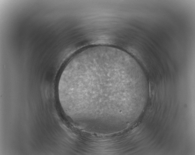 X0000066950204200604071947