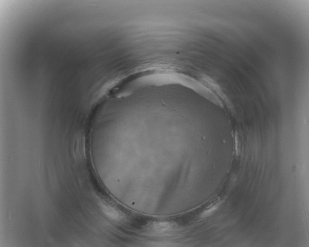 X0000066950205200604071947