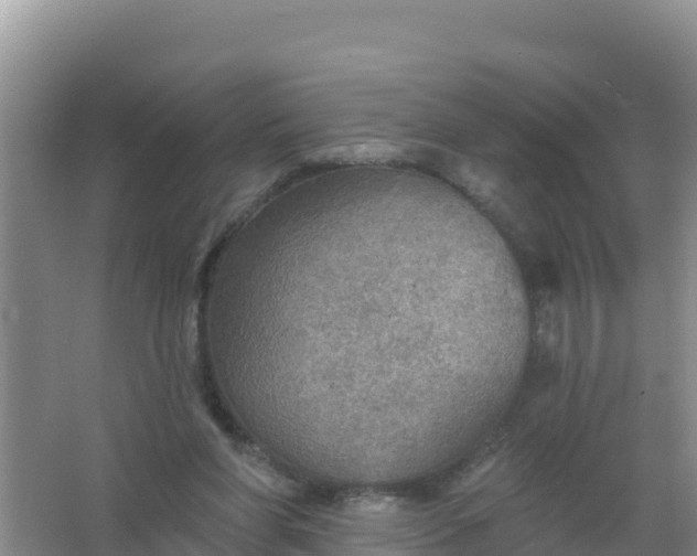 X0000066950206200604071947