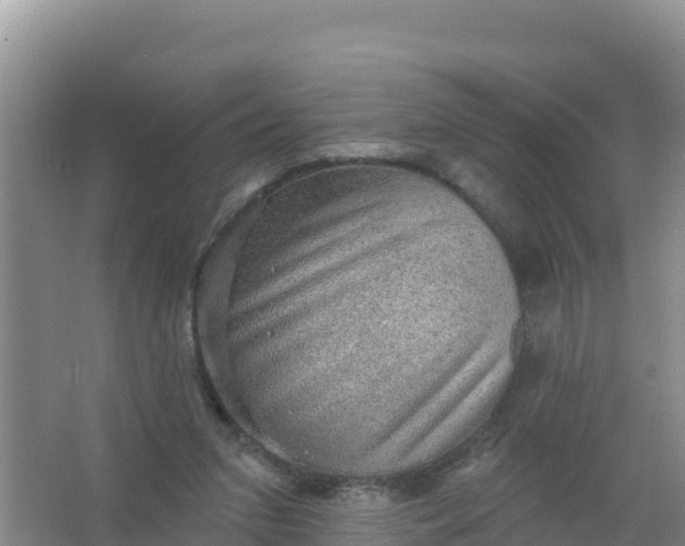 X0000066950207200604071947