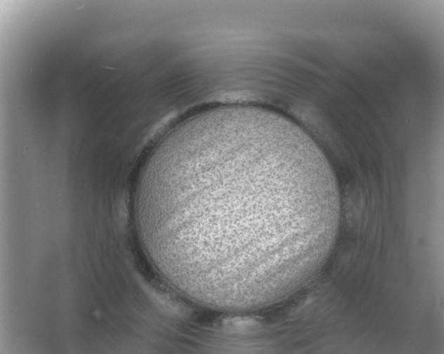 X0000066950208200604071947