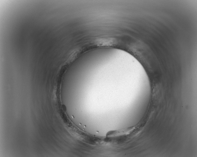 X0000066950209200604071947