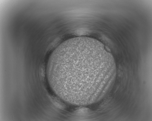 X0000066950210200604071947