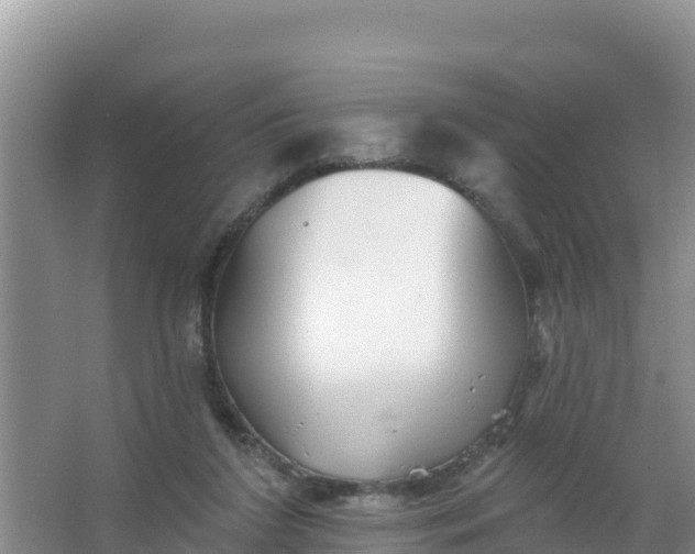 X0000066950212200604071947