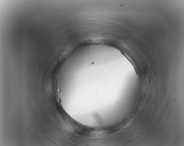 X0000066950213200604071947