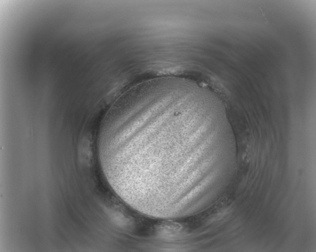 X0000066950215200604071947