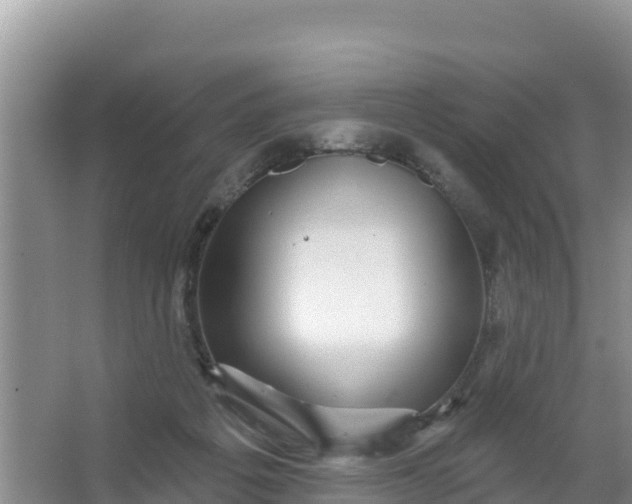 X0000066950217200604071947