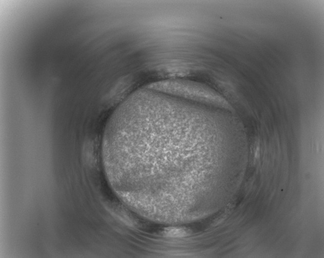 X0000066950218200604071947