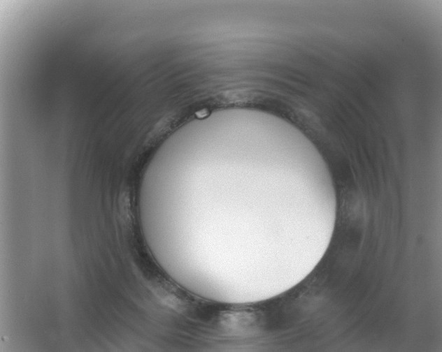 X0000066950220200604071947