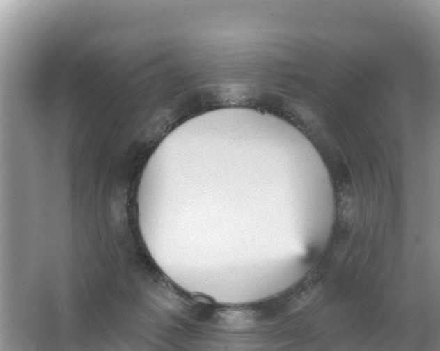 X0000066950221200604071947