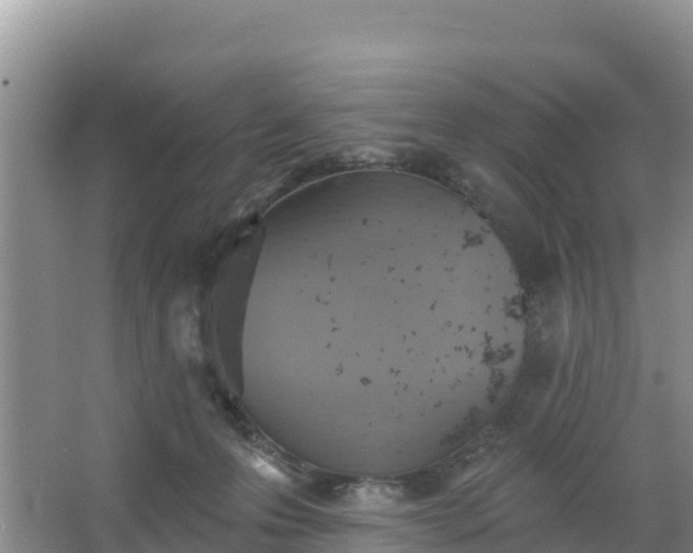 X0000066950223200604071947