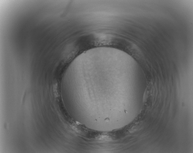 X0000066950224200604071947