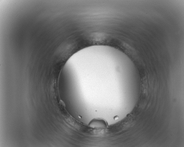 X0000066950225200604071947