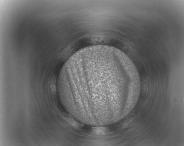 X0000066950226200604071947