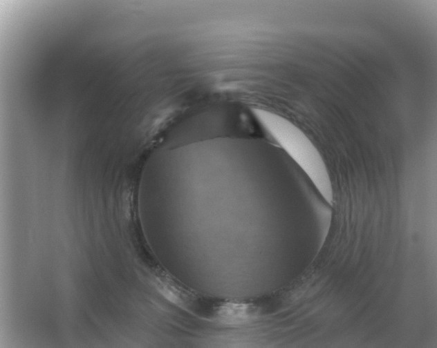 X0000066950227200604071946