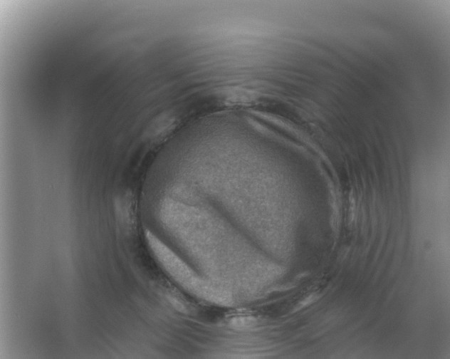 X0000066950228200604071946