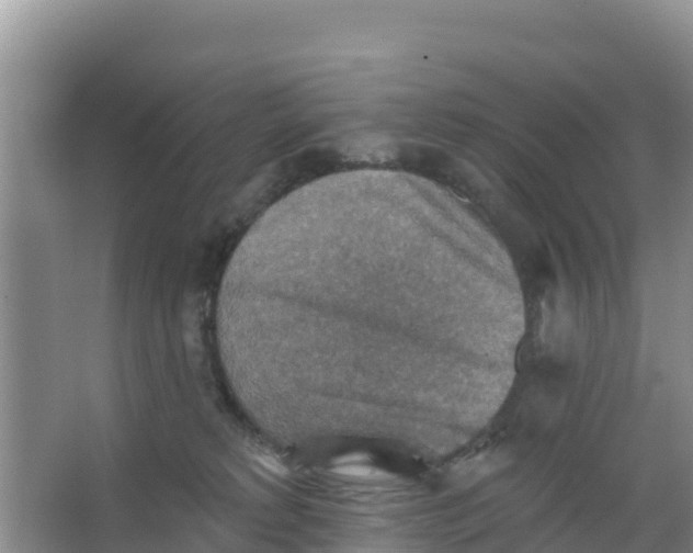 X0000066950229200604071946